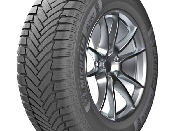 MICHELIN ALPIN 6