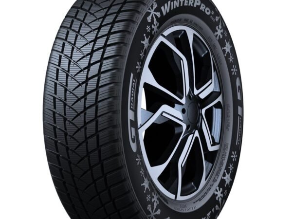 GT RADIAL WINTERPRO 2 (EVO)