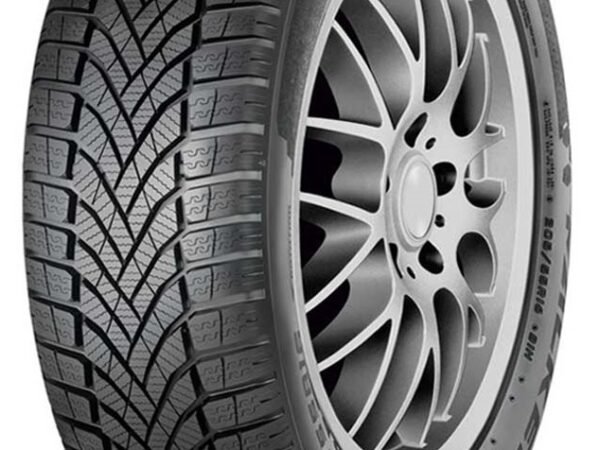 Falken Eurowinter HS02