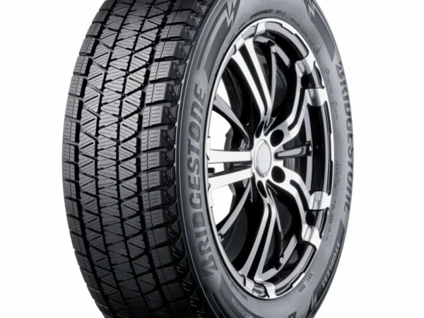Bridgestone BLIZZAK DM-V3