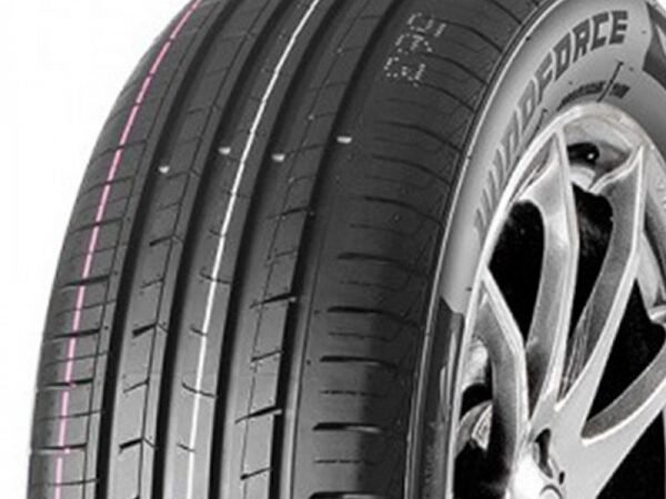 WINDFORCE CATCHFORS H/P