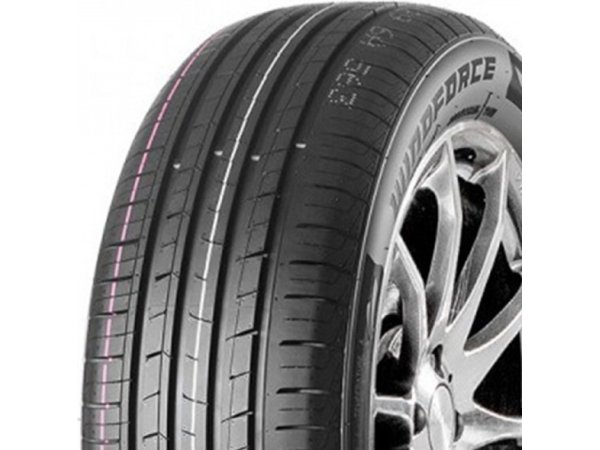 WINDFORCE CATCHFORS H/P