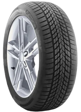 Funtoma RoadFun Winter