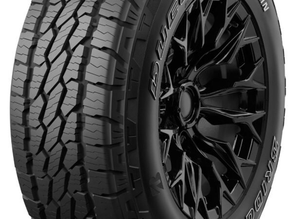 Bridgestone DUELAT