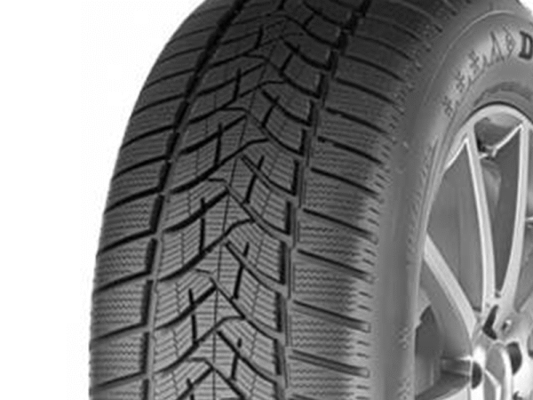 DUNLOP Winter Sport