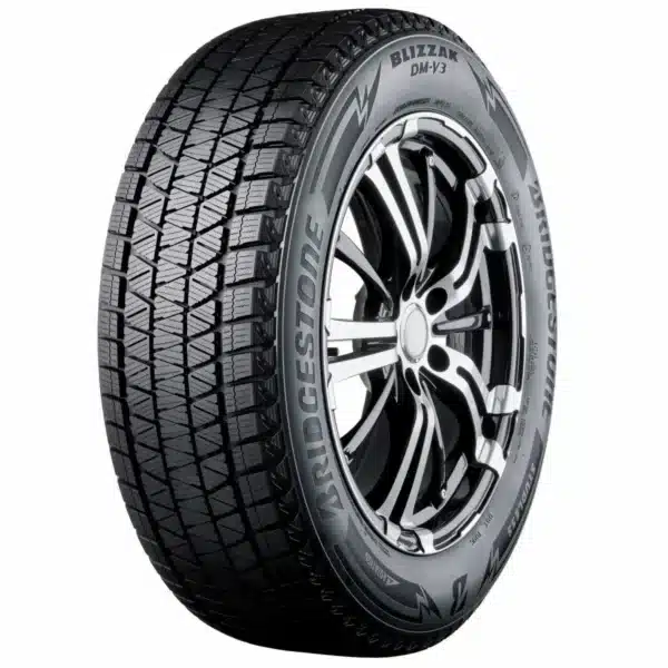 Bridgestone BLIZZAK DM-V3