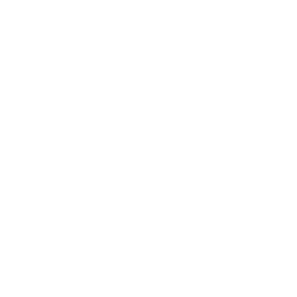 PRINX XLAB CF EV